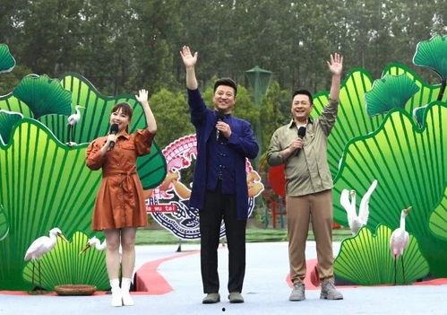 戈雅最新皮肤爆料视频,神秘面纱下的华丽蜕变  第1张